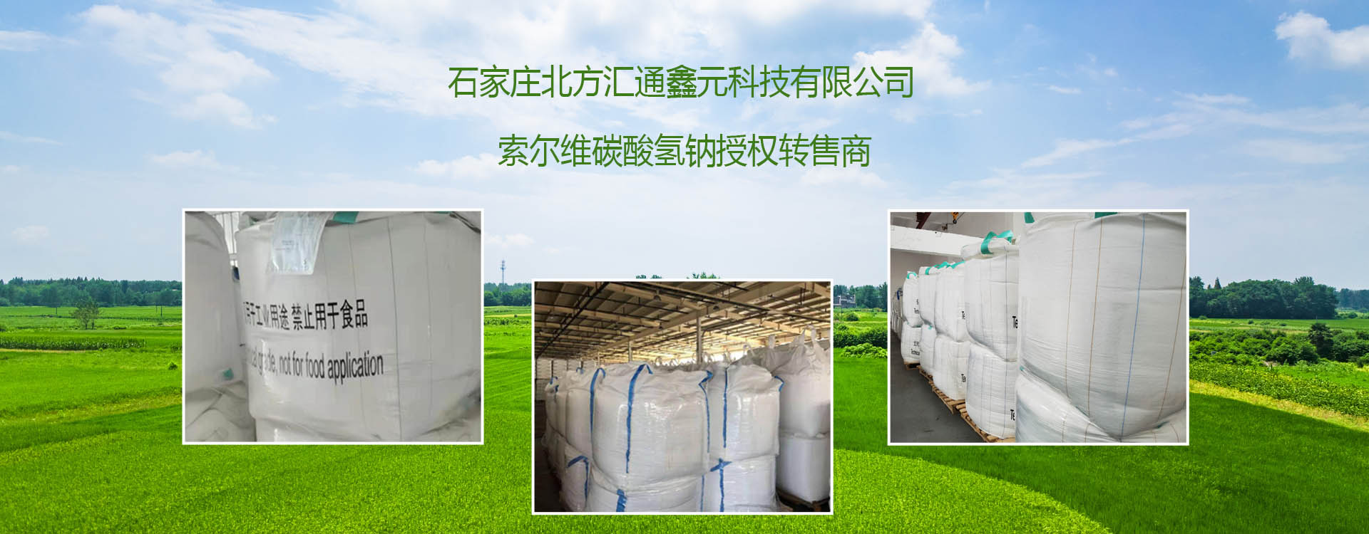 索尔维碳酸氢钠